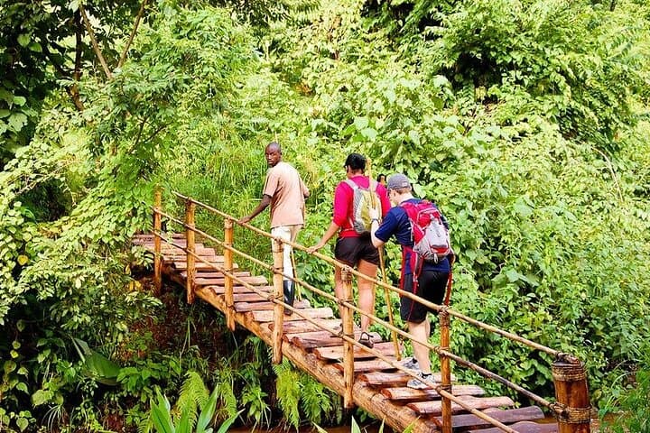 14-Day Uganda & Rwanda Primate Safari: Gorilla, Chimpanzee & Golden Monkey Treks photo 2