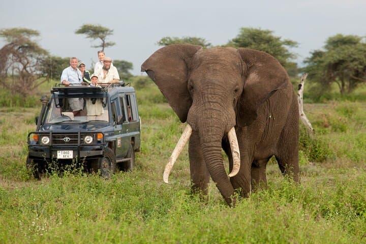 14-Day Uganda & Rwanda Primate Safari: Gorilla, Chimpanzee & Golden Monkey Treks photo 3