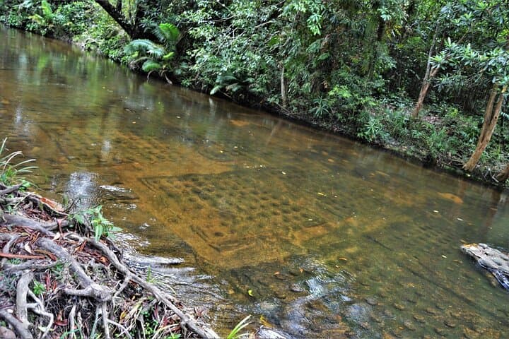 Phnom Kulen Waterfall & River of a Thousand Lingas: Full-Day Tour from Siem Reap photo 4