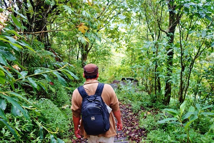 Tamblingan Lake Jungle Trek: Bali Rainforest Trek & Traditional Canoe photo 4