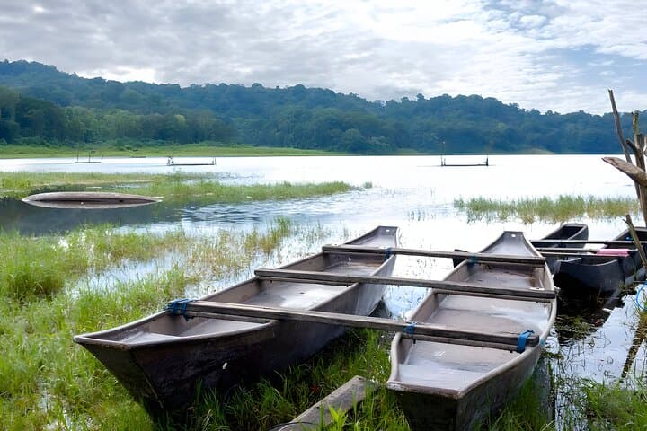 Tamblingan Lake Jungle Trek: Bali Rainforest Trek & Traditional Canoe photo 5