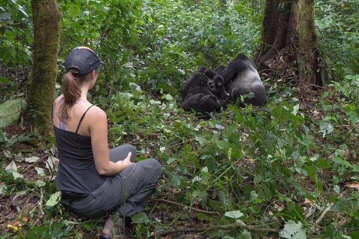 3-Day Private Uganda Gorilla Trekking Adventure in Bwindi & Lake Bunyonyi photo 4