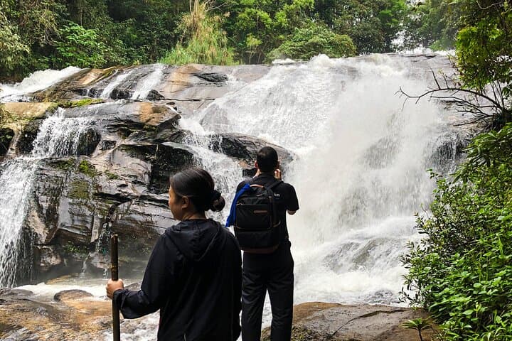Doi Inthanon Hike: Inthanon National Park Tour & Pha Dok Siew Soft Hike from Chiang Mai