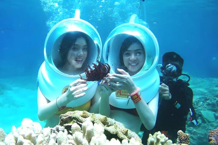 Sea Walking in Nusa Dua: Helmet Dive to See Bali’s Shallow Coral Gardens photo 4