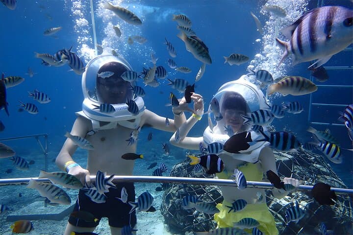 Sea Walking in Nusa Dua: Helmet Dive to See Bali’s Shallow Coral Gardens photo 5