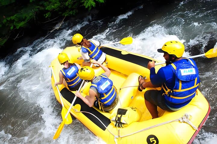Telaga Waja White Water Rafting, Bali — 18km River Run Through Rainforest & Rice Fields photo 5