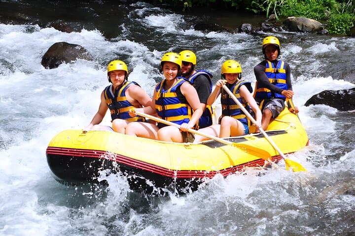 Telaga Waja White Water Rafting, Bali — 18km River Run Through Rainforest & Rice Fields photo 6
