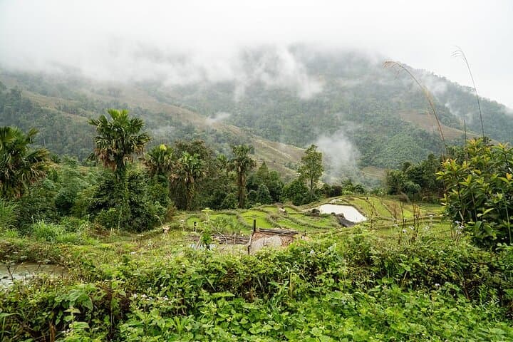 Three-Day Trekking in Ha Giang: Secret Trails from Pu Lo to Ma Pi Leng photo 4
