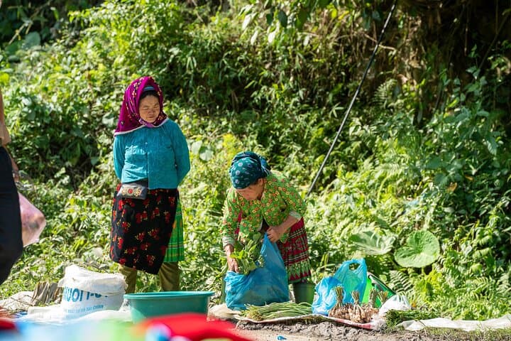 Ha Giang to Sapa: 8-Day Mountain Trail Explorer in Northern Vietnam photo 1