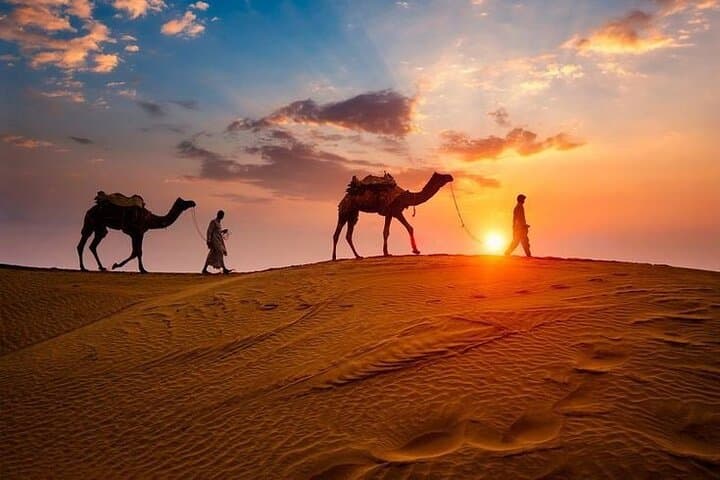 Dubai Morning Desert Safari: Dune Bashing, Camel Ride & Sandboarding photo 3