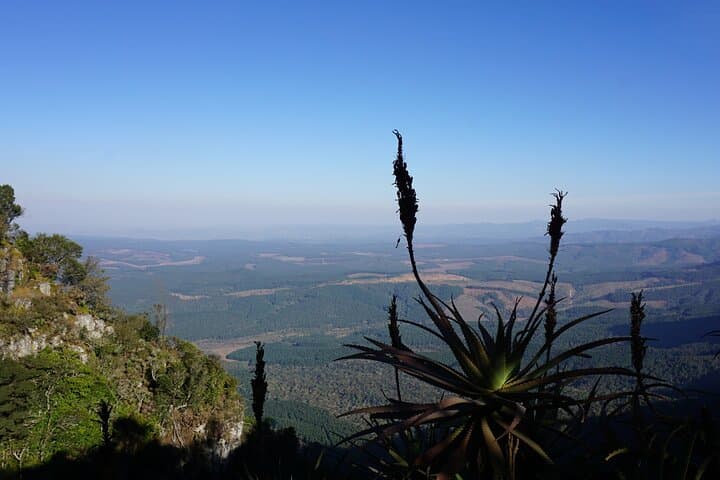 3-Day Garden Route: Knysna, Robberg & Whale Coast Highlights photo 5