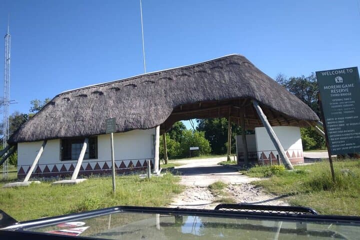 Moremi Full-Day Safari: Wildlife & Birding in Moremi Game Reserve photo 4