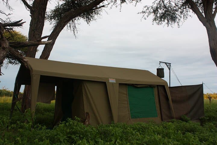 Steenbok Trail Safari: 8-Day Camping Safari Through Moremi, Khwai & Savuti photo 1