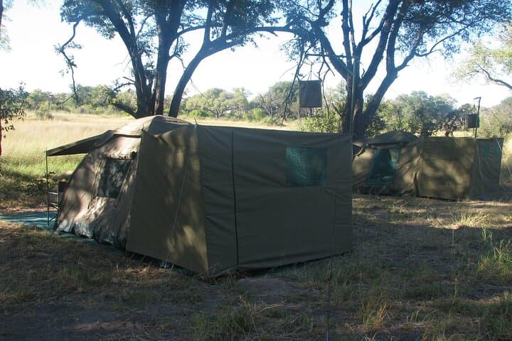 Steenbok Trail Safari: 8-Day Camping Safari Through Moremi, Khwai & Savuti photo 2