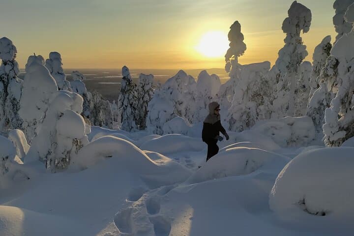 Private Snowshoeing in Levi: Guided Wilderness Walks in Finnish Lapland photo 2