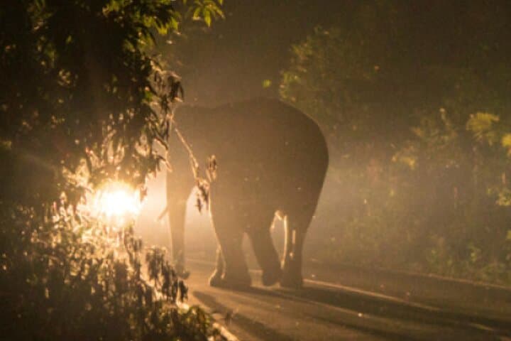 Moonlit Stargazing at Victoria Falls: Guided Night Sky Experience photo 5