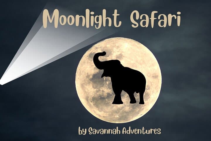 Moonlit Stargazing at Victoria Falls: Guided Night Sky Experience