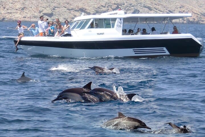 Muscat Dolphin Watching and Snorkeling — 3-Hour Marine Adventure photo 2