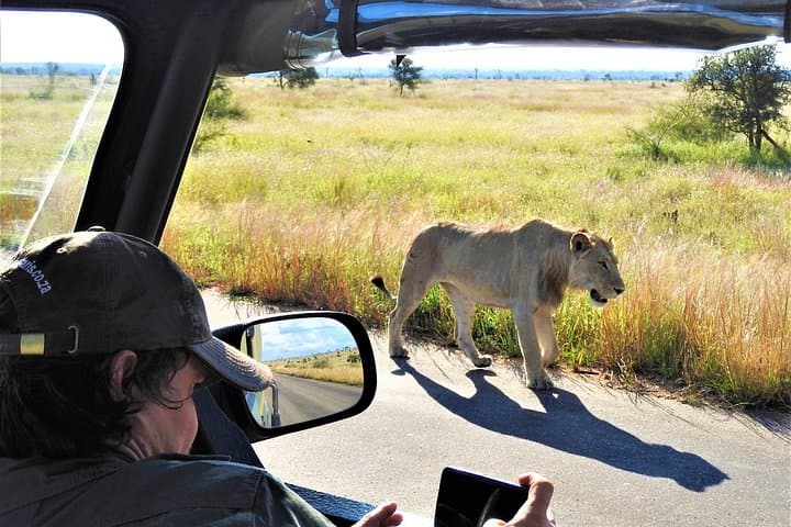 6-Day South Africa Safari and Culinary Tour — Kruger, Panorama Route & Braai Experience photo 2