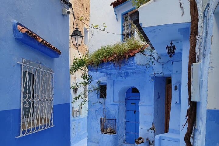 Fez to Chefchaouen Day Tour: Explore the Blue Medina, Kasbah & Rif Views photo 4