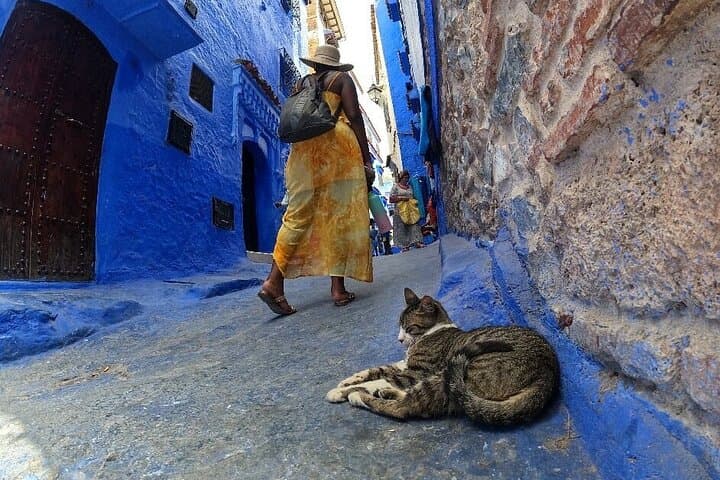 Fez to Chefchaouen Day Tour: Explore the Blue Medina, Kasbah & Rif Views photo 6