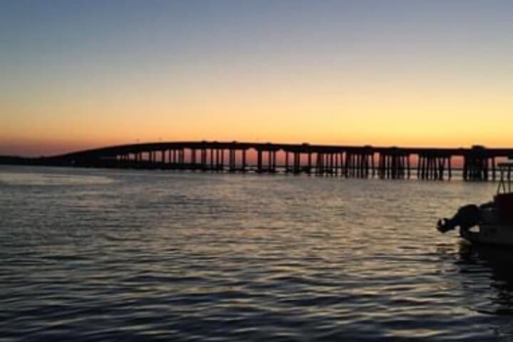 Explore Destin’s Emerald Waters: 4–8 Hour PWC Rental to Crab Island and Dolphins photo 4