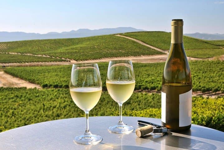 Private Napa and Sonoma SUV Wine Tour from SFO: Full-Day Tasting & History photo 2