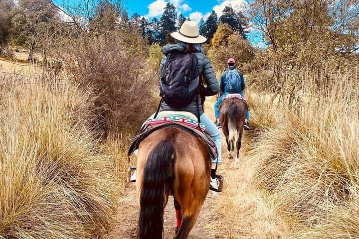 Horseback Riding in Tepetlaoxtoc: Culture, Valleys & Mexican BBQ from CDMX photo 2