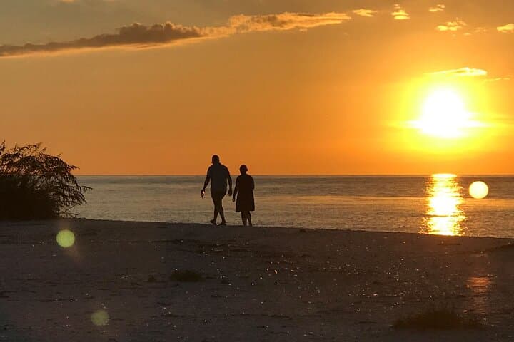 Sunset Eco Cruise of Marco Island & Ten Thousand Islands: Shelling, Dolphins & Golden-Hour Views