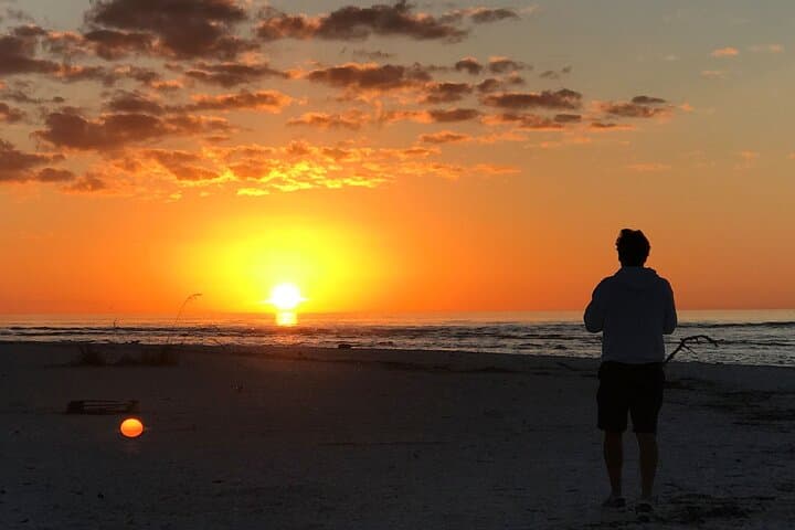 Sunset Eco Cruise of Marco Island & Ten Thousand Islands: Shelling, Dolphins & Golden-Hour Views photo 5