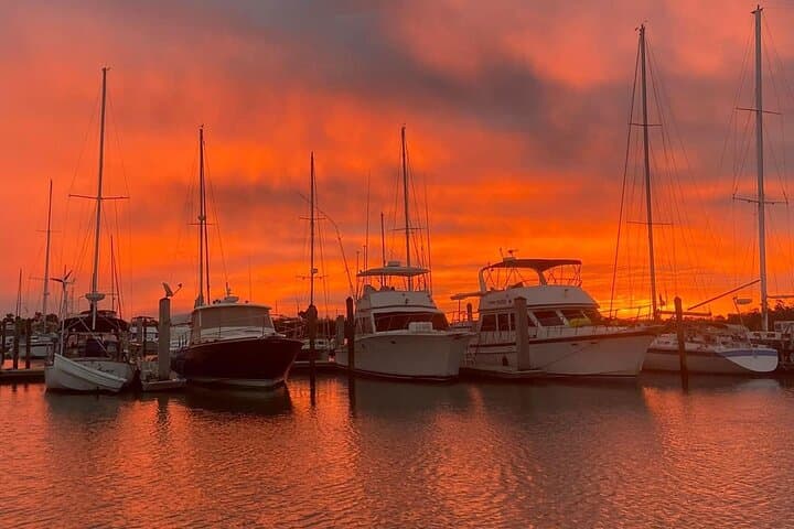 Sunset Eco Cruise of Marco Island & Ten Thousand Islands: Shelling, Dolphins & Golden-Hour Views photo 4