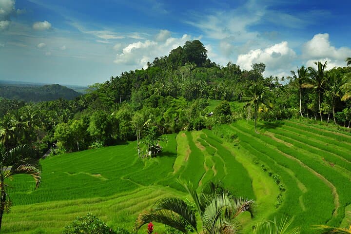 Full-Day Kintamani Volcano & Besakih Temple Tour — Mount Batur Views and Besakih Highlights photo 5