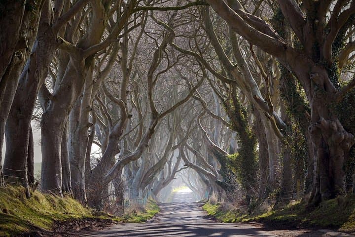 Game of Thrones Filming Locations Full-Day Private Tour from Derry — Causeway Coast Highlights photo 4