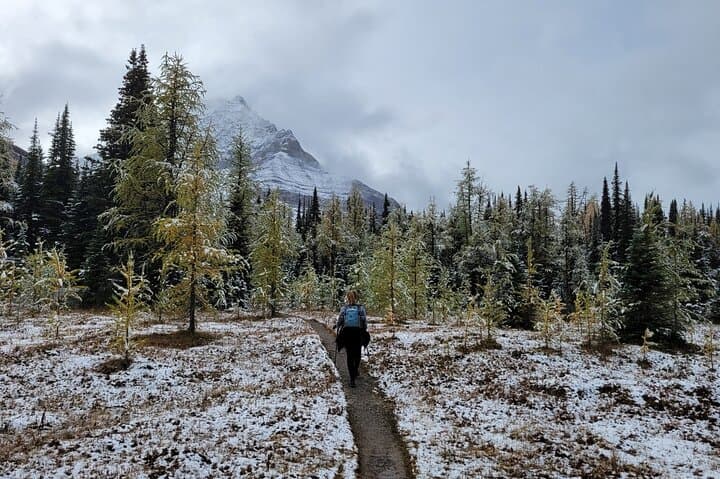 Larch Valley & Sentinel Pass: Moraine Lake Fall Hike from Banff photo 6