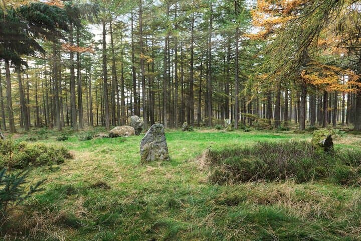 Dunnottar to Dinnet: Private Full-Day History and Nature Tour from Aberdeen photo 2