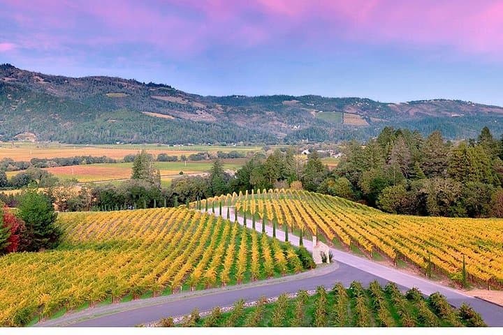 Private Napa Valley Wine Tour for Up to 6 Guests — Custom Winery Itinerary photo 1