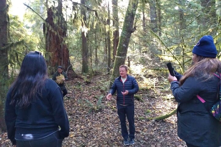 Ancient Forests, Waterfalls & Coastal Vistas: Day Tour from Vancouver photo 5