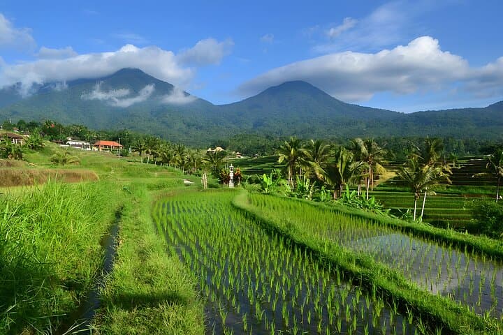 Highlands to Sea: Private Full-Day Bedugul, Jatiluwih & Tanah Lot Tour photo 2