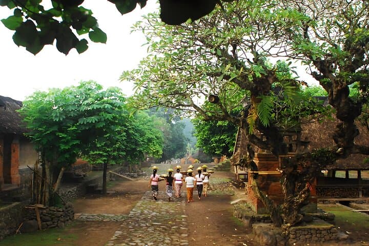East Bali Full-Day: Gate of Heaven, Tirta Gangga, Taman Ujung & Virgin Beach photo 5