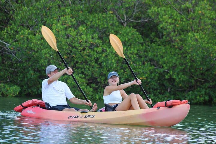 Guided Kayak Tour Through the Naples Mangroves — 2-Hour Wildlife Paddle