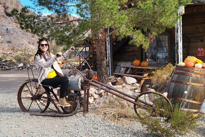 Colorado River RZR Blast: Eldorado Canyon Ghost Town, River Lunch & Adrenaline Ride photo 4