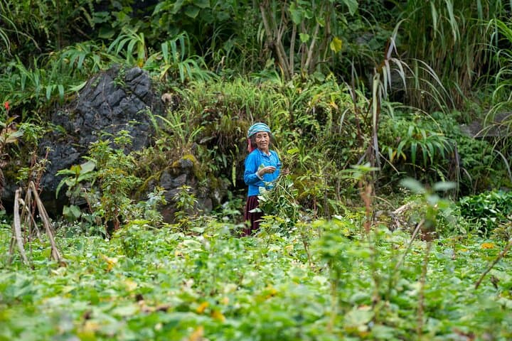 Dong Van 1-Day Trek: 15–17 km Trek on the UNESCO Karst Plateau photo 4