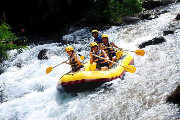 Telaga Waja Rafting Adventure — 18 km Whitewater on Bali’s Mount Agung River photo 5