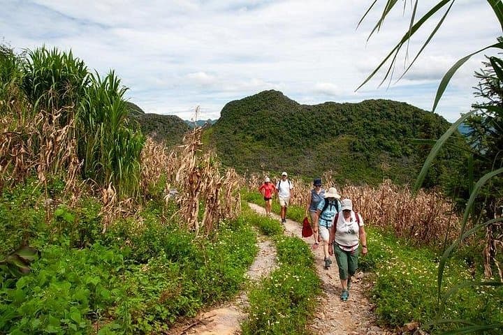 Ha Giang Loop Trekking 4 Days 3 Nights – Ma Pi Leng Pass, Dong Van Plateau & Homestays photo 2