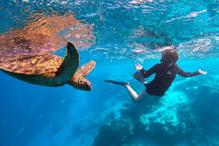 Eco-Friendly Sea Scooter Turtle Tour in Rarotonga — Muri Lagoon Snorkel Adventure photo 4