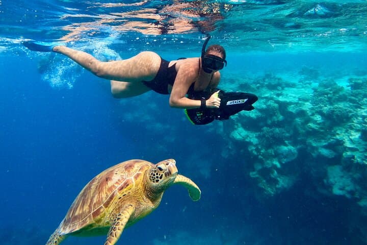 Eco-Friendly Sea Scooter Turtle Tour in Rarotonga — Muri Lagoon Snorkel Adventure