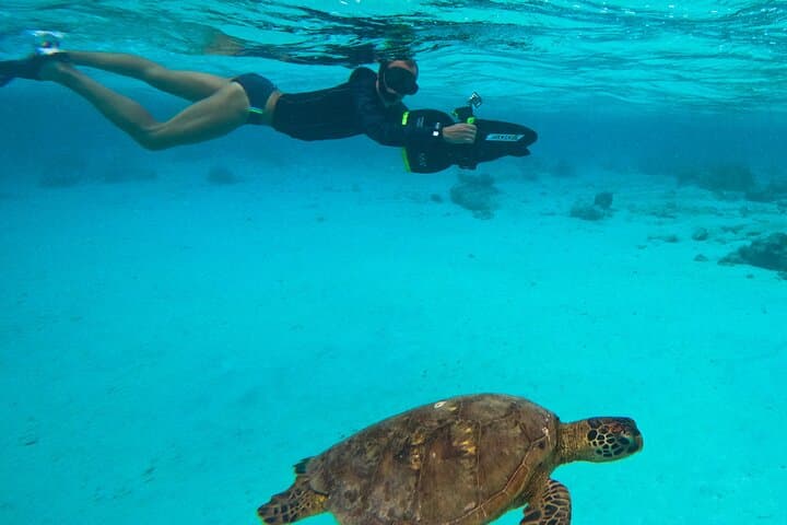Eco-Friendly Sea Scooter Turtle Tour in Rarotonga — Muri Lagoon Snorkel Adventure photo 3