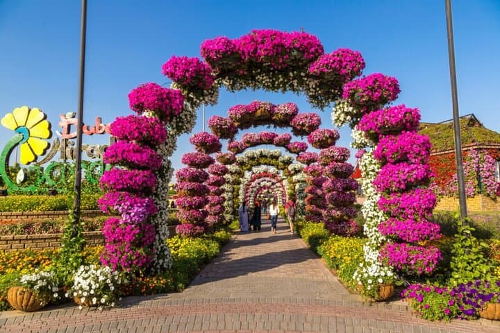 Dubai Miracle Garden: Exploring the World's Largest Floral Display photo 3
