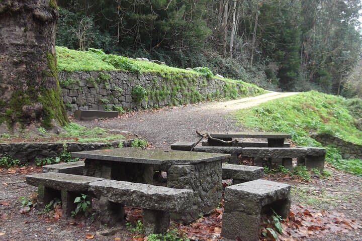 Monchique Forest Hike & Medronho Tasting — Private Day Trip from Lagos photo 4