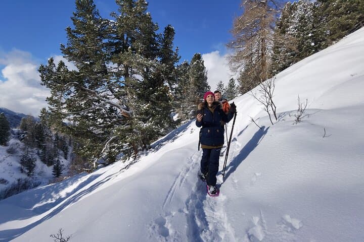 Winter Hiking and Sledding in the Dolomites: Bolzano Guided Day Trip photo 5